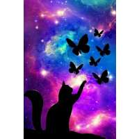 Lesen Picmondoo GmbH Bewertungen